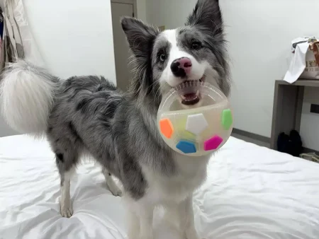 PawKick™ Durable Soccer Toy – Bouncy. Bite-Resistant & Fun  Buy one get one free. double the fun