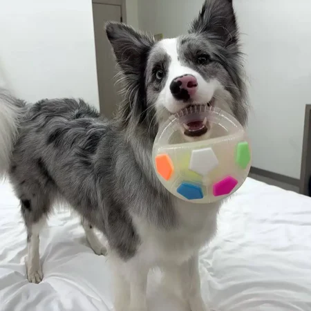 PawKick™ Durable Soccer Toy – Bouncy. Bite-Resistant & Fun  Buy one get one free. double the fun