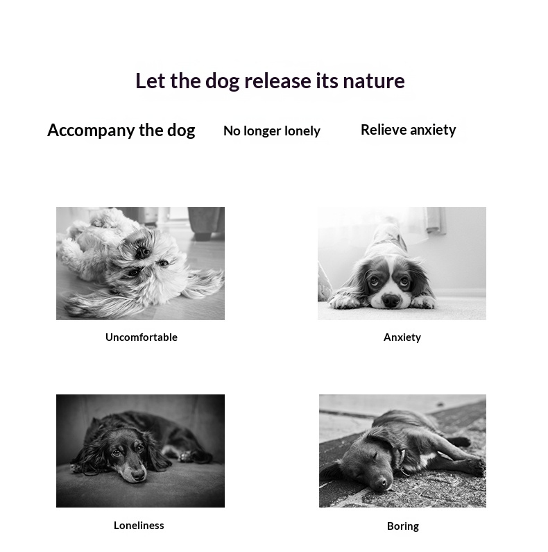 Qzee 狗玩具，带吱吱作响的手柄，是一款足球玩具，可以帮助宠物消耗能量、自娱自乐、缓解无聊，并提供有趣的陪伴。