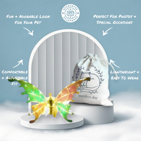 Butterfly Wings for Dogs