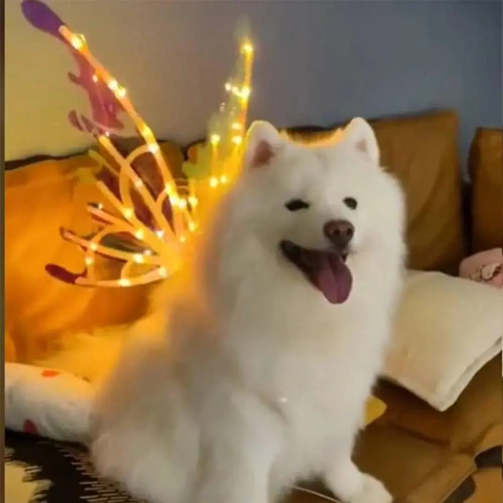 Light-Up-Fairy-Wings-for-Dogs-Electric-Glowing-Fairy-Wings-Musical-Butterfly-with-Led-String-Lights_jpg.jpg
