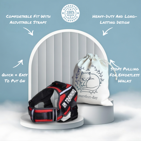 No Pull Dog Harness Pro