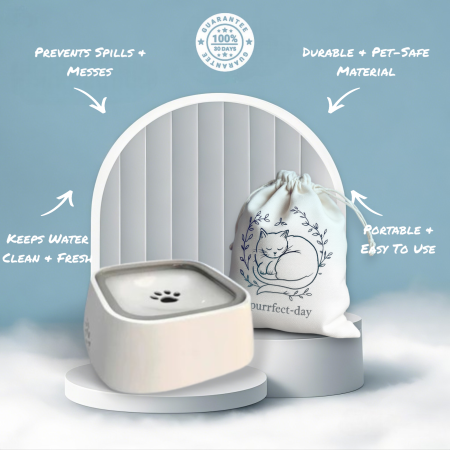 Splash-Proof Water Bowl