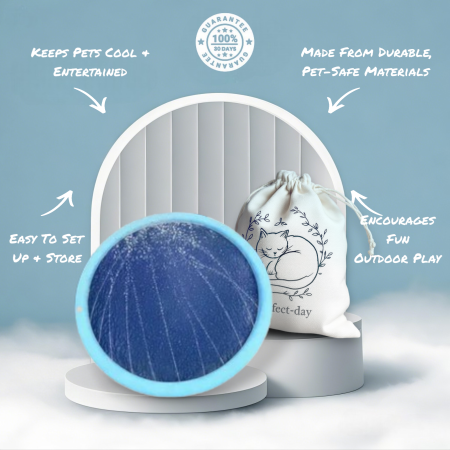 Sprinkler Splash Pad