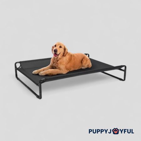 Elevated Dog Bed