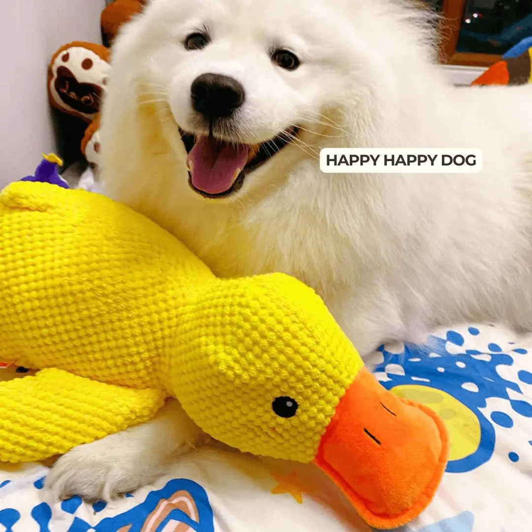 calming-duck-toy-by-wowpetsmart-651213.webp