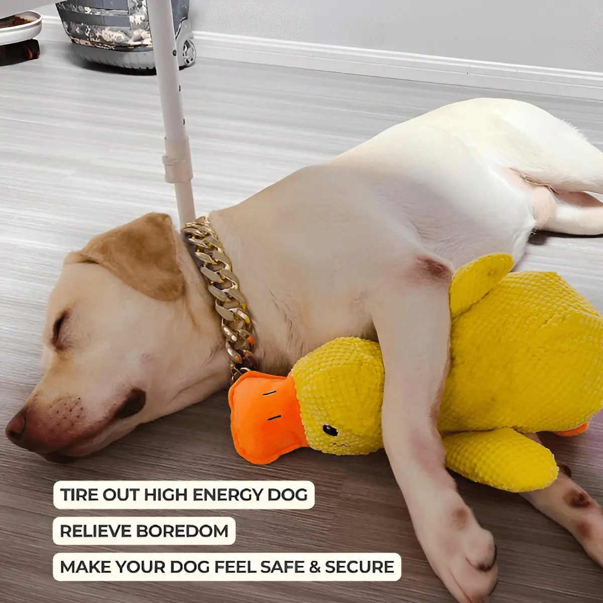 calming-duck-toy-by-wowpetsmart-868820.webp