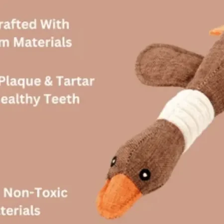 🔥ROBUSTDUCK-DESIGNED FOR HEAVY CHEWERS – 🚨 Limited-Time Offer: Today only. buy one ROBUSTDUCK and get one FREE!