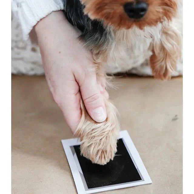 pearhead-clean-touch-ink-pad-paw-prints-dog-cat-16_640x640_6dc29b2f-7c9f-468e-b30c-a18b9538dfdf-725938.jpg