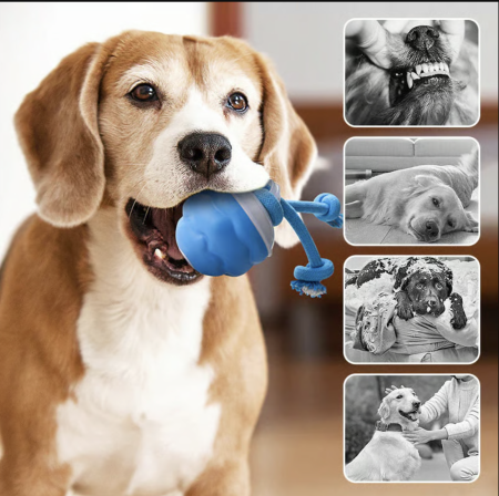 🐾Interactive Electronic Pet Soothing Toy Ball