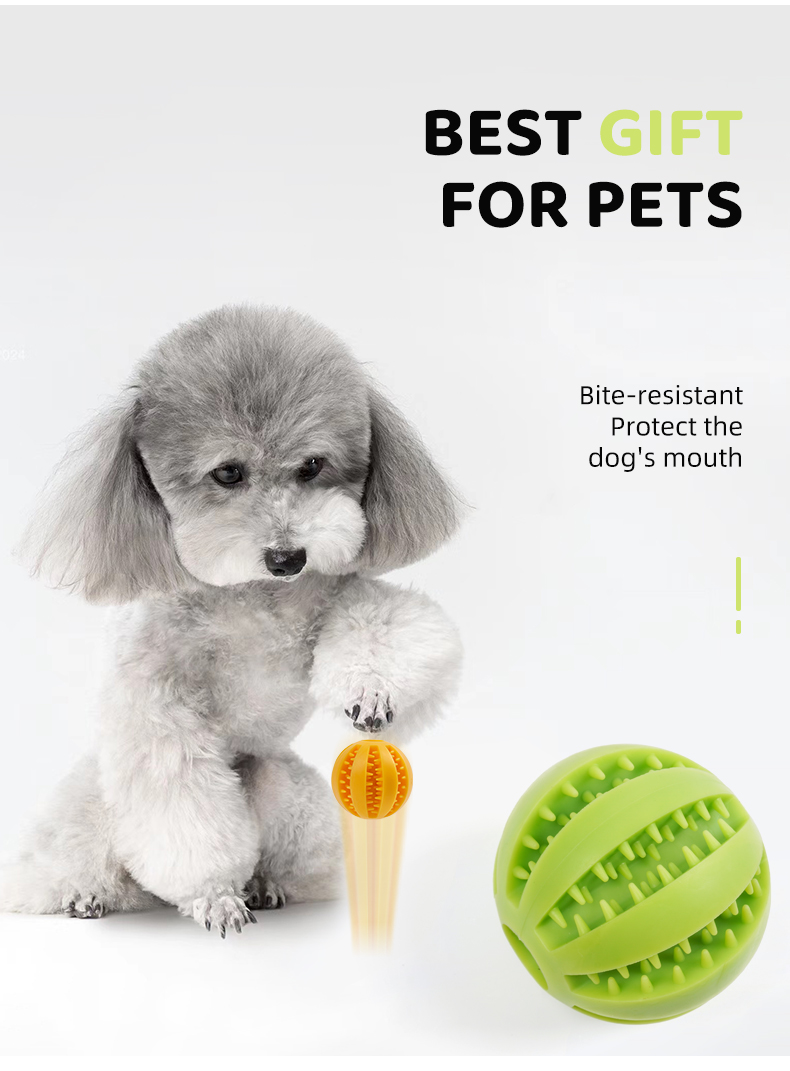 Interactive Treat Ball Toy for Dogs – Slow Feeder & Chew Training Ball (Buy one get one free)