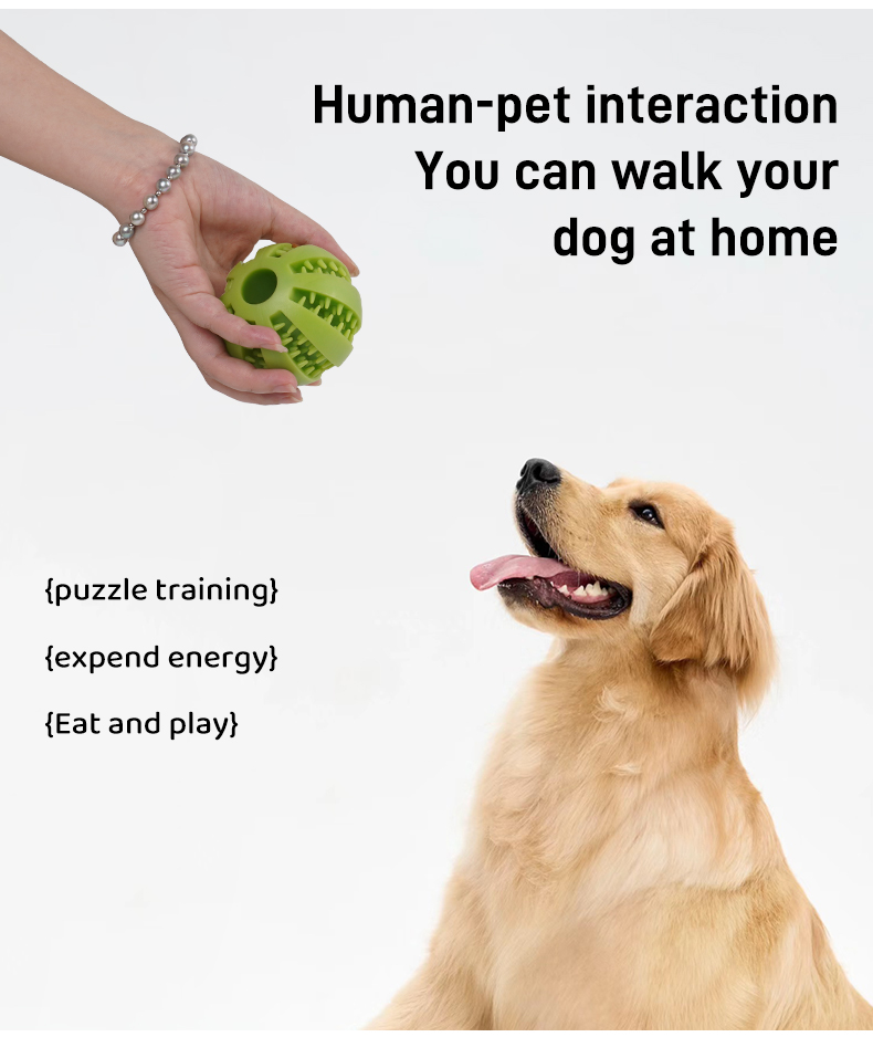 Interactive Treat Ball Toy for Dogs – Slow Feeder & Chew Training Ball (Buy one get one free)