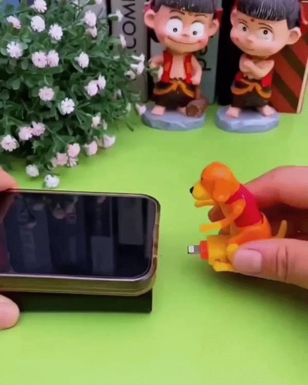 Funny Dog Fast Charger