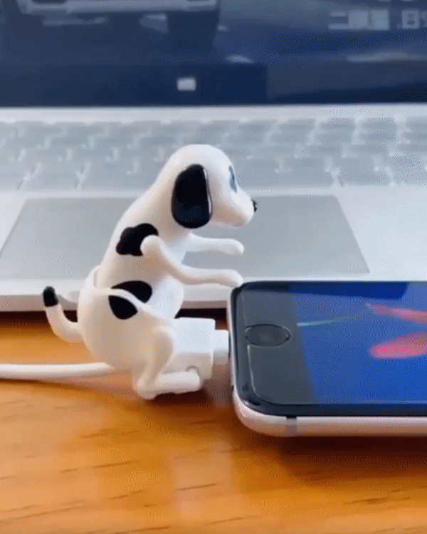 Funny Dog Fast Charger