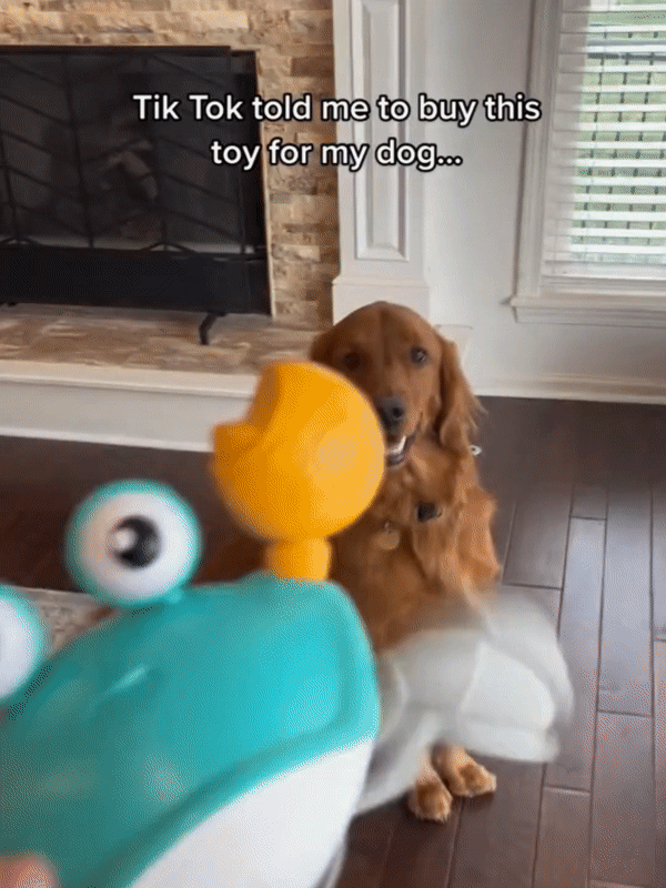 Interactive Crawling Crab™