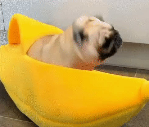 Silly Banana Dog Bed